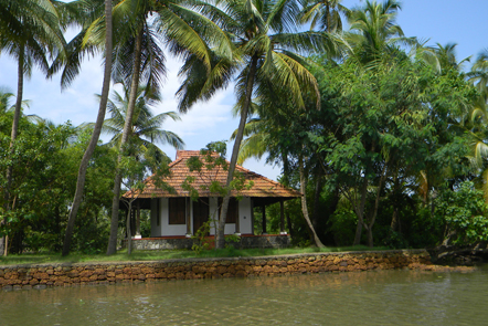 Coconut Island - Thrissur
