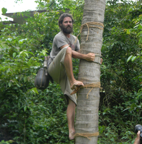 Coconut Climbing at Coconut Island