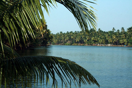 Coconut Island, Thrissur