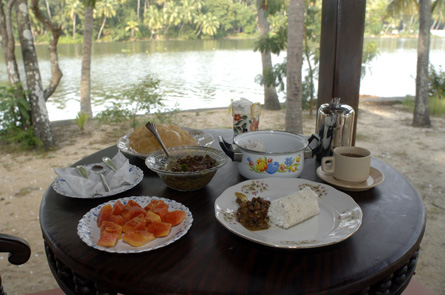 Breakfast in Coconut Island